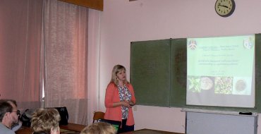 Мініатюра