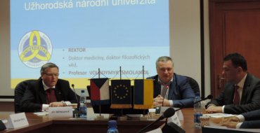Мініатюра