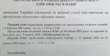 Мініатюра