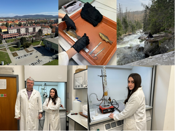 Internship of PhD student from Educational and Scientific Institute of Chemistry and Ecology (Uzhhorod National University, Ukraine) at the University of Presov (Slovak Republic) under the Erasmus+ program Internship of PhD student from Educational and Scientific Institute of Chemistry and Ecology (Uzhhorod National University, Ukraine) at the University of Presov (Slovak Republic) under the Erasmus+ program