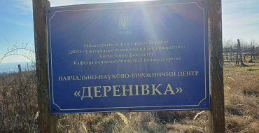 Мініатюра